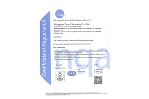 ISO13485 2016体系认证（英）